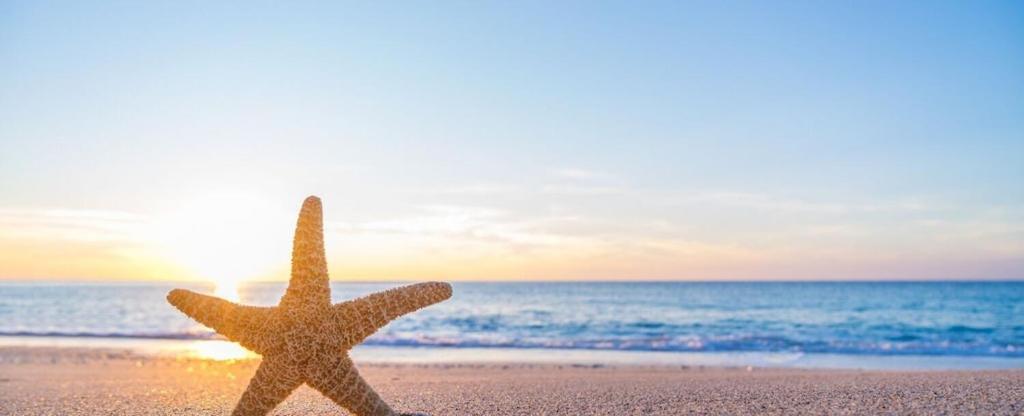 Biloxi Beach Condo-B エクステリア 写真
